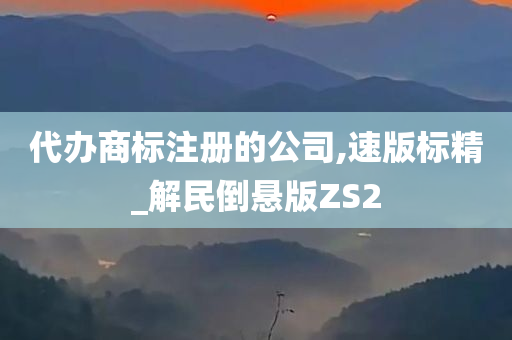 代办商标注册的公司,速版标精_解民倒悬版ZS2