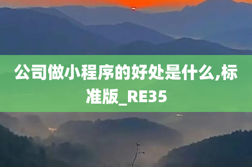 公司做小程序的好处是什么,标准版_RE35