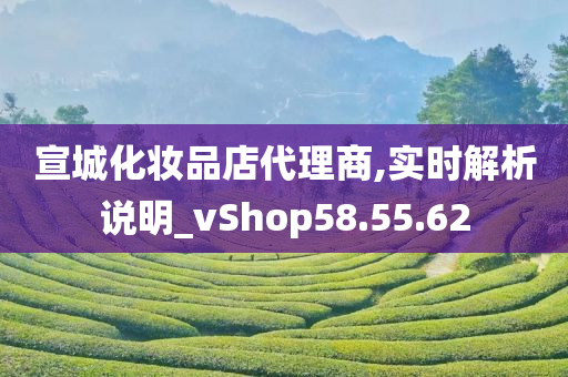 宣城化妆品店代理商,实时解析说明_vShop58.55.62