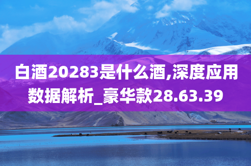 白酒20283是什么酒,深度应用数据解析_豪华款28.63.39