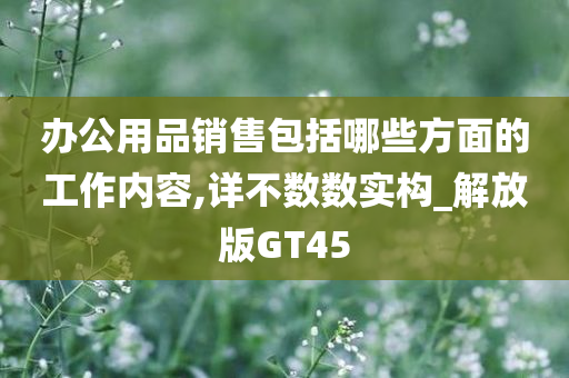 办公用品销售包括哪些方面的工作内容,详不数数实构_解放版GT45