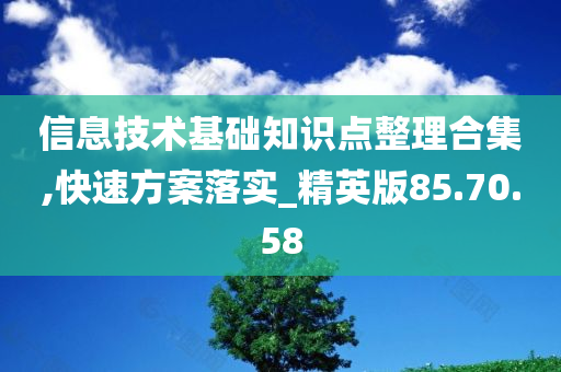 信息技术基础知识点整理合集,快速方案落实_精英版85.70.58