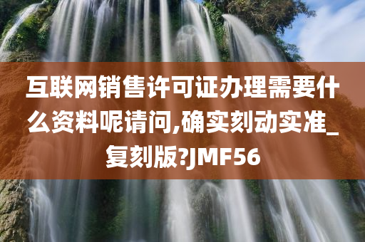 互联网销售许可证办理需要什么资料呢请问,确实刻动实准_复刻版?JMF56