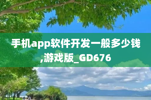 手机app软件开发一般多少钱,游戏版_GD676