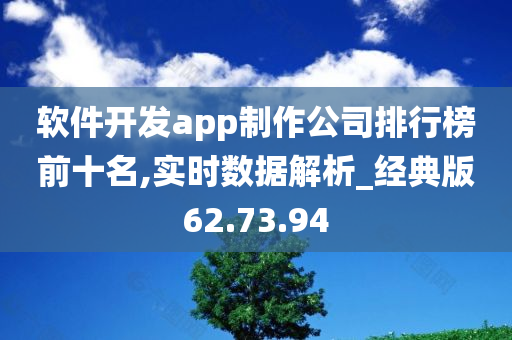 软件开发app制作公司排行榜前十名,实时数据解析_经典版62.73.94