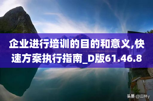 企业进行培训的目的和意义,快速方案执行指南_D版61.46.80