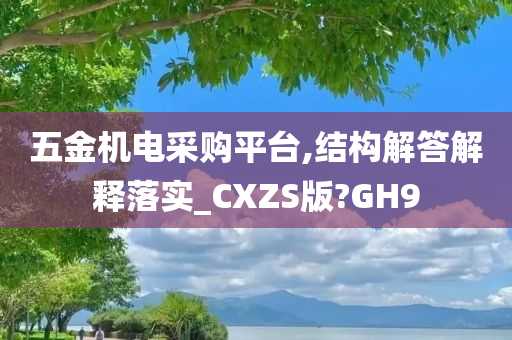 五金机电采购平台,结构解答解释落实_CXZS版?GH9