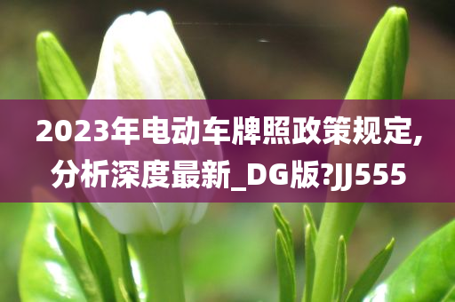 2023年电动车牌照政策规定,分析深度最新_DG版?JJ555