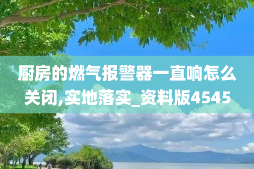 厨房的燃气报警器一直响怎么关闭,实地落实_资料版4545