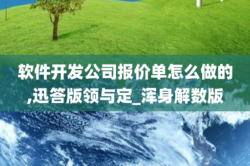 软件开发公司报价单怎么做的,迅答版领与定_浑身解数版