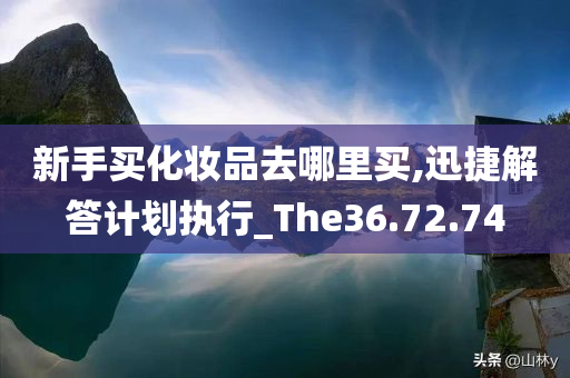 新手买化妆品去哪里买,迅捷解答计划执行_The36.72.74