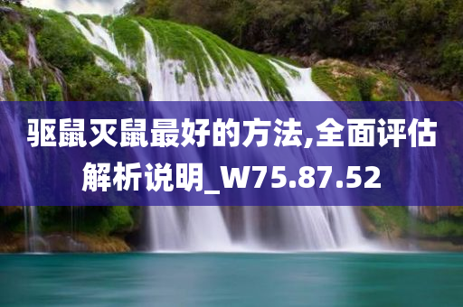 驱鼠灭鼠最好的方法,全面评估解析说明_W75.87.52