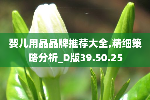 婴儿用品品牌推荐大全,精细策略分析_D版39.50.25