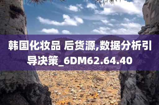 韩国化妆品 后货源,数据分析引导决策_6DM62.64.40