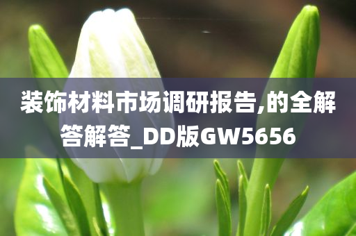 装饰材料市场调研报告,的全解答解答_DD版GW5656