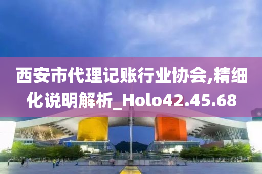 西安市代理记账行业协会,精细化说明解析_Holo42.45.68