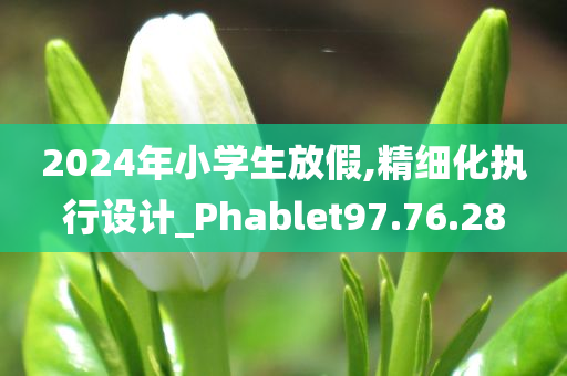 2024年小学生放假,精细化执行设计_Phablet97.76.28