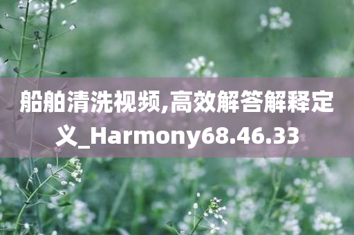 船舶清洗视频,高效解答解释定义_Harmony68.46.33