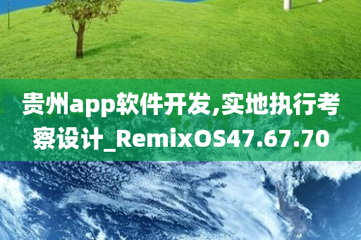 贵州app软件开发,实地执行考察设计_RemixOS47.67.70