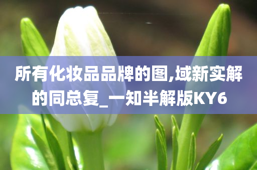 所有化妆品品牌的图,域新实解的同总复_一知半解版KY6