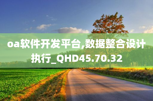 oa软件开发平台,数据整合设计执行_QHD45.70.32