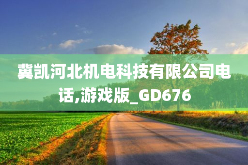 冀凯河北机电科技有限公司电话,游戏版_GD676