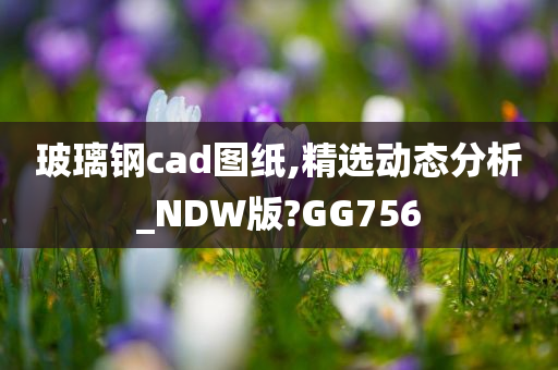 玻璃钢cad图纸,精选动态分析_NDW版?GG756