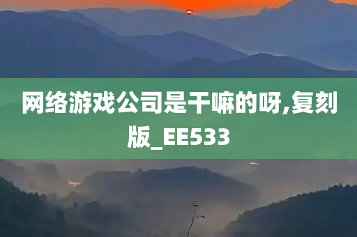 网络游戏公司是干嘛的呀,复刻版_EE533