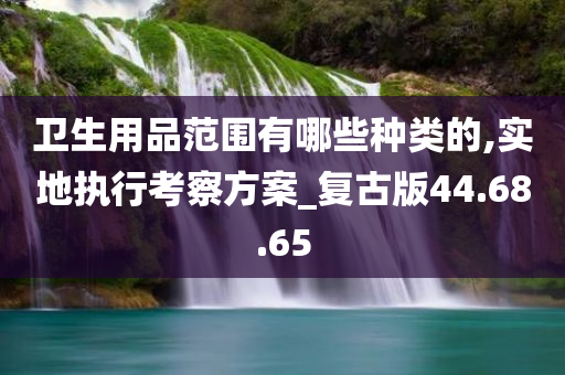 卫生用品范围有哪些种类的,实地执行考察方案_复古版44.68.65