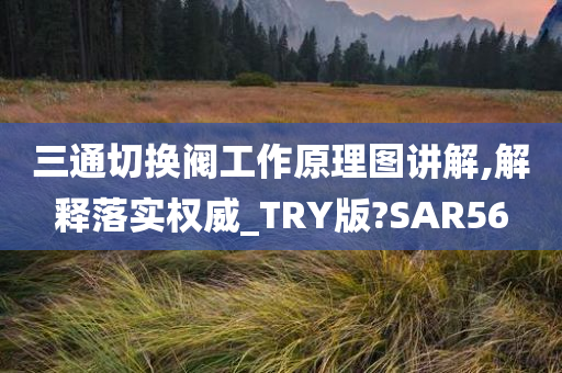 三通切换阀工作原理图讲解,解释落实权威_TRY版?SAR56