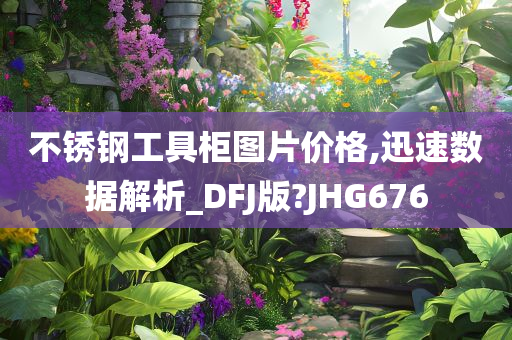 不锈钢工具柜图片价格,迅速数据解析_DFJ版?JHG676