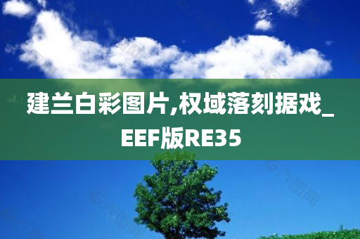 建兰白彩图片,权域落刻据戏_EEF版RE35