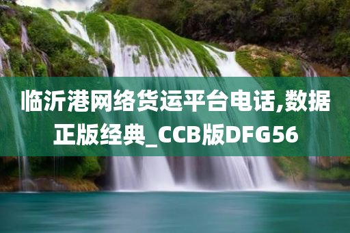 临沂港网络货运平台电话,数据正版经典_CCB版DFG56