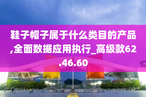 鞋子帽子属于什么类目的产品,全面数据应用执行_高级款62.46.60