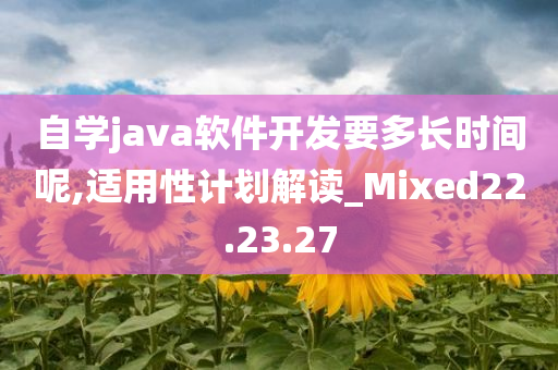 自学java软件开发要多长时间呢,适用性计划解读_Mixed22.23.27