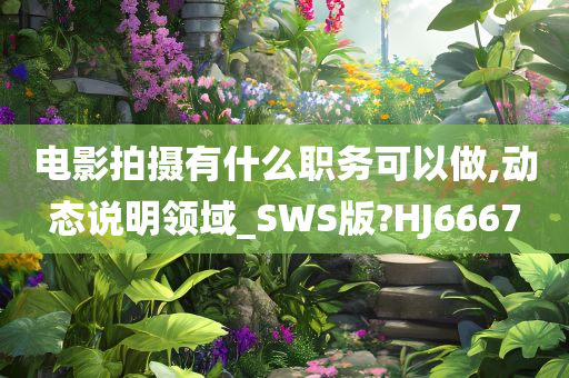 电影拍摄有什么职务可以做,动态说明领域_SWS版?HJ6667