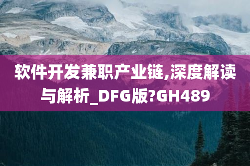 软件开发兼职产业链,深度解读与解析_DFG版?GH489