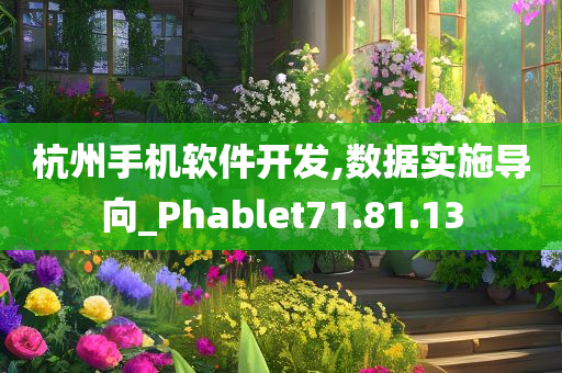 杭州手机软件开发,数据实施导向_Phablet71.81.13