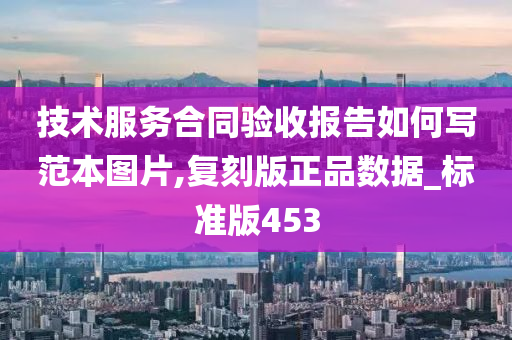 技术服务合同验收报告如何写范本图片,复刻版正品数据_标准版453