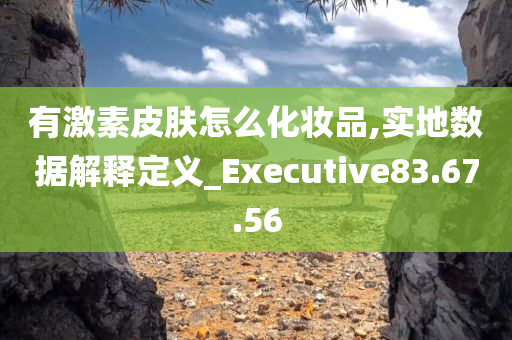 有激素皮肤怎么化妆品,实地数据解释定义_Executive83.67.56