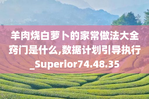 羊肉烧白萝卜的家常做法大全窍门是什么,数据计划引导执行_Superior74.48.35