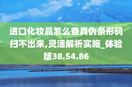 进口化妆品怎么查真伪条形码扫不出来,灵活解析实施_体验版38.54.86