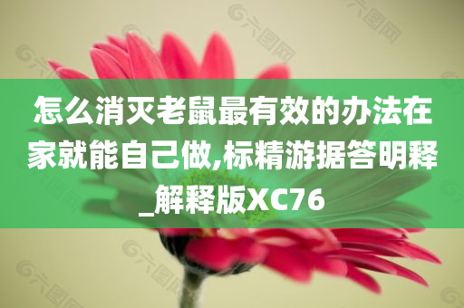 怎么消灭老鼠最有效的办法在家就能自己做,标精游据答明释_解释版XC76