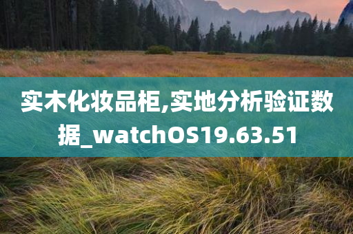 实木化妆品柜,实地分析验证数据_watchOS19.63.51