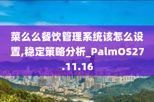 菜么么餐饮管理系统该怎么设置,稳定策略分析_PalmOS27.11.16