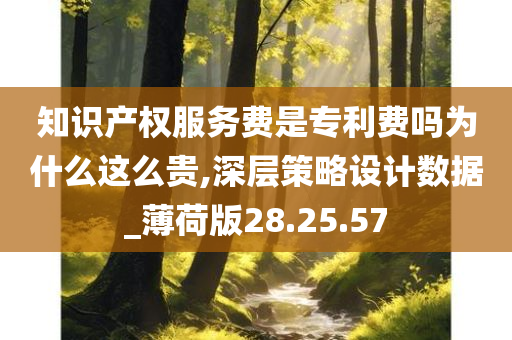 知识产权服务费是专利费吗为什么这么贵,深层策略设计数据_薄荷版28.25.57