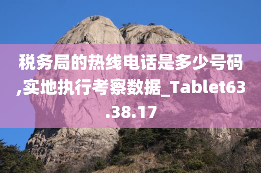 税务局的热线电话是多少号码,实地执行考察数据_Tablet63.38.17