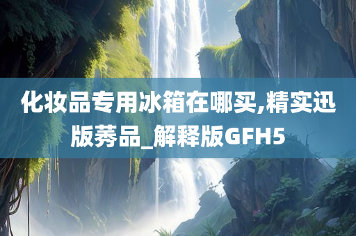 化妆品专用冰箱在哪买,精实迅版莠品_解释版GFH5