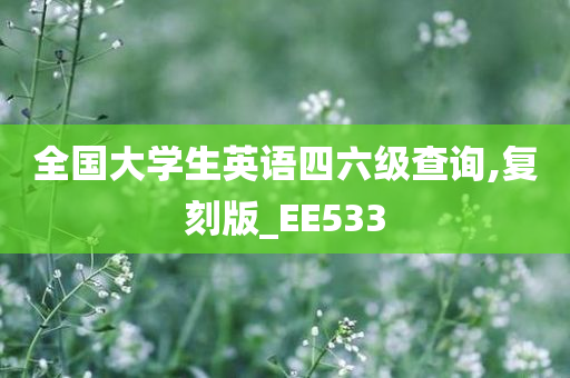 全国大学生英语四六级查询,复刻版_EE533