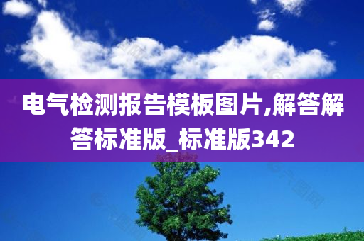 电气检测报告模板图片,解答解答标准版_标准版342